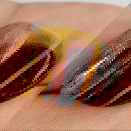 Natural Multi-Color Tiger Eye Agate 17.29 Ct. Fancy Cabochon Shaep 17.4 x 12.5 Mm. Gemstone (1 of 3)