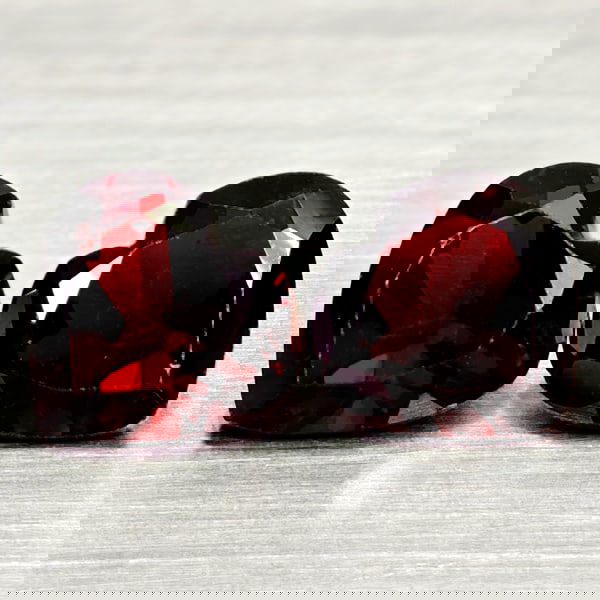 Natural Orangish Red Garnet 2.68 Ct. 2 Pcs Heart Shape 7 x 6.7 MM Gemstones From Tanzania (1 of 3)