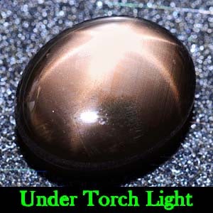 Natural Black Star Sapphire 6 Rays 5.25 Ct. Oval Cabochon Shape 11.5 x 9.4 Mm Gemstone From Thailand (1 of 3)