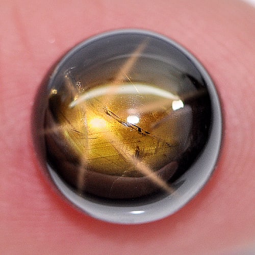 Certified Natural Golden Star Sapphire 6 Ray 3.46 Ct. Round Cabochon Shape 8.16 x 8.24 Mm. Gemstone (1 of 4)