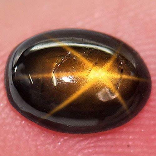 Natural Golden Star Sapphire 6 Rays 1.32 Ct. Oval Cabochon Shape 7.7 x 5.7 Mm. Gemstone From (1 of 3)