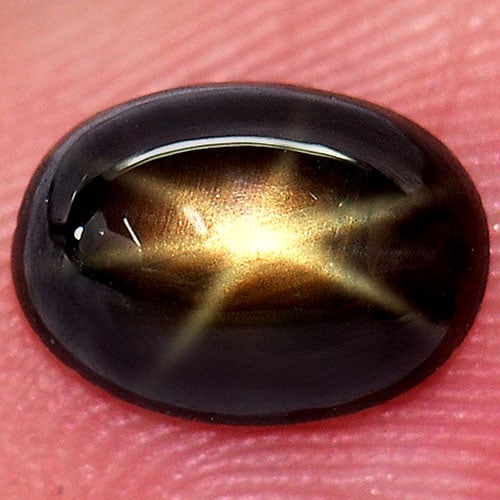 Natural Golden Star Sapphire 6 Rays 1.66 Ct. Oval Cabochon Shape 8 x 6 Mm. Gemstone From Thailand (1 of 3)