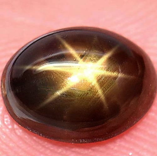 Natural Golden Star 6 Rays Sapphire 1.68 Ct. Oval Cabochon Shape 7.9 x 6 Mm. Gemstone From Thailand (1 of 3)
