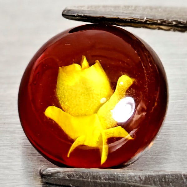 Natural Brown Yellow Amber 0.59 Ct. Flower Carving In Round Cabochon Shape 8.5 Mm Gemstone from: Product ID: 819091084 Product Name: Natural Amber Weight: 0.59 CT. Size: 8.5 x 8.5 x 3 MM. Shape: Round Cabochon Color: Brown Yellow Clarity:Semi - Transparent Luster: Good Gems Origin: Poland Treatme