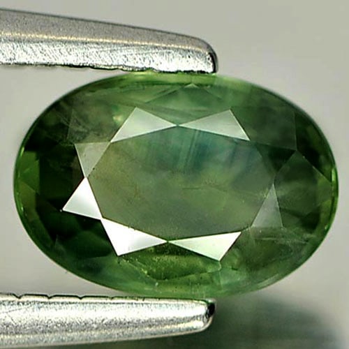 Natural Green Sapphire Gemstones 0.69 Ct. Oval Shape 6.4 x 4.5 Mm. (1 of 3)
