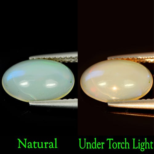 Natural Multi-Color Play Of Colour Opal Gemstones 1.26 Ct. Oval Cabochon Shape 11.6 x 7.8 Mm.: Product ID: 818722271 Product Name: Natural Opal Weight: 1.26 CT. Size: 11.6 x 7.8 x 4.3 MM. Shape: Oval Cabochon Color: Multi Color Clarity:Semi - Transparent Luster: Strong Iridescent Gems Origin: E