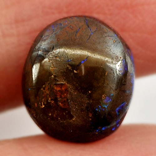 Natural Multi Color Flashing Boulder Opal Gemstones 4.44 Ct. Oval Cabochon Shape 11.7 x 10.3 Mm. (1 of 3)