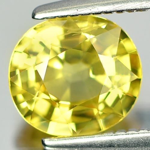 Natural Yellow Sapphire Gemstones 1.32 Ct. Oval Shape 7 x 6.3 Mm. (1 of 3)
