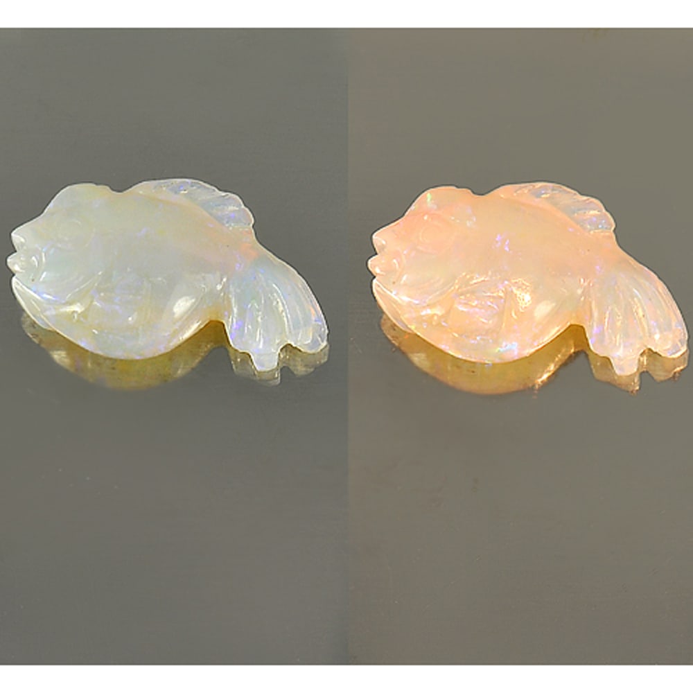 Natural Multi Color Opal Gemstones 5.78 Ct. Fish Carving Shape 19.1 x 10.5 Mm.: Product ID: 818722512 Product Name: Natural Opal Carving Weight: 5.78 CT. Size: 19.1 x 10.5 x 6.8 MM. Shape: Fish Carving Color: Multi Color Clarity:Semi - Transparent Luster: Strong Iridescent Gems O