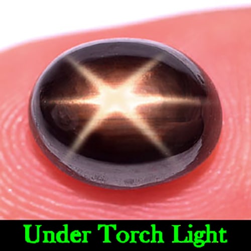 Natural Black Star Sapphire Gemstones 6 Rays 4.54 Ct. Oval Cabochon Shape 9.8 x 7.6 Mm. (1 of 3)