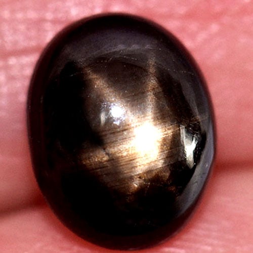 Natural Black Star Sapphire Gemstones 6 Ray 3.50 Ct. Oval Cabochon Shape 9.5 x 7.7 Mm.: Product ID: 806148776 Product Name: Natural Star Sapphire Weight: 3.50 CT. Size: 9.5 x 7.7 x 4.8 MM. Shape: Oval Cabochon Color: Black Clarity:Opaque Luster: Good 6 Rays Star Gems Origin: Thailand Tre