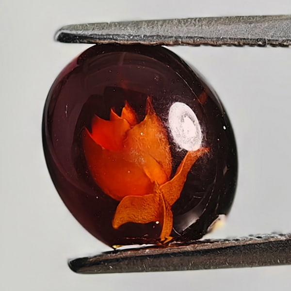Natural Brown Yellow Amber Gemstones 0.41 Ct. Flower Carving In 7.1 x 8.6 Mm. (1 of 3)