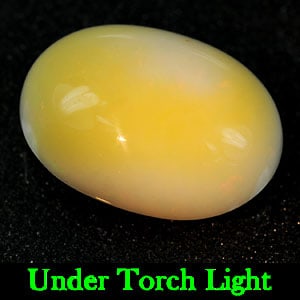 Natural Gem Multi Color Opal Gemstones 9.76 Ct. Oval Cab 18.1 x 13.2 Mm. (1 of 3)