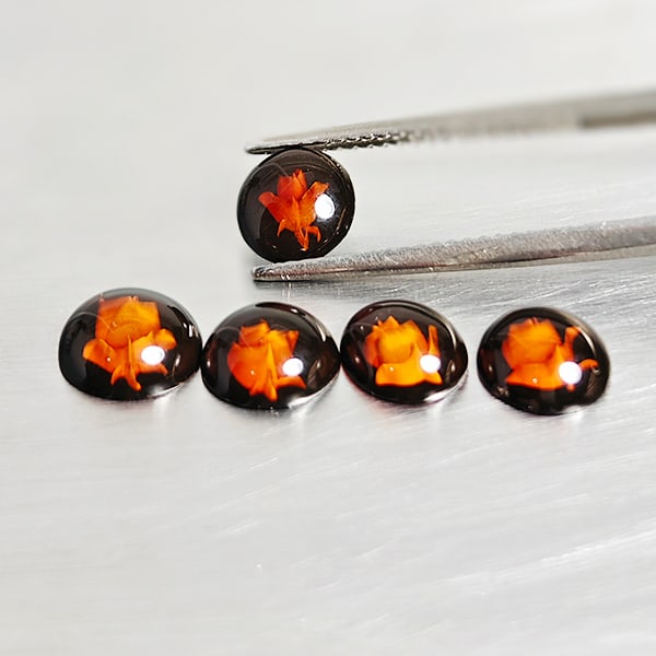 Natural Brown Yellow Amber Gemstones 2.06 Ct. 5 Pcs. Flower Carving In Shape 8 Mm.: Product ID: 819091014 Product Name: Natural Amber Weight: 2.06 CT. Size: 8 x 8 x 3.1 MM. Shape: Round Cabochon Color: Brown Yellow Clarity:Semi - Transparent Luster: Good Gems Origin: Poland Treatment
