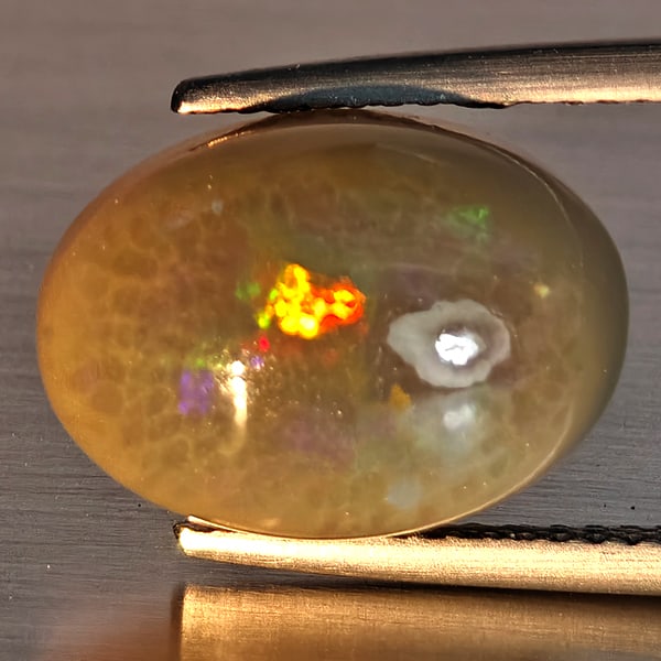 Natural Multi-Color Play Of Colour Opal Gemstone 5.41 Ct. Oval Cabochon Shape 14 x 10 Mm. (1 of 3)