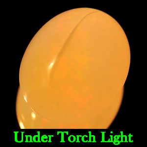 Natural Multi Color Opal Gemstones 5.64 Ct. Oval Cabochon Shape 13.8 x 10.9 Mm. (1 of 3)