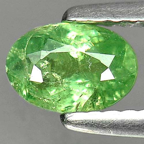 Natural Green Demantoid Garnet Gemstones 0.67 Ct. Oval Shape 6.4 x 4.3 Mm.: Product ID: 802919213 Product Name: Natural Demantoid Weight: 0.67 CT. Size: 6.4 x 4.3 x 2.9 MM. Shape: Oval Color: Green Clarity:SI Luster: Good Gems Origin: Madagascar , Africa Treatment: Unheated C