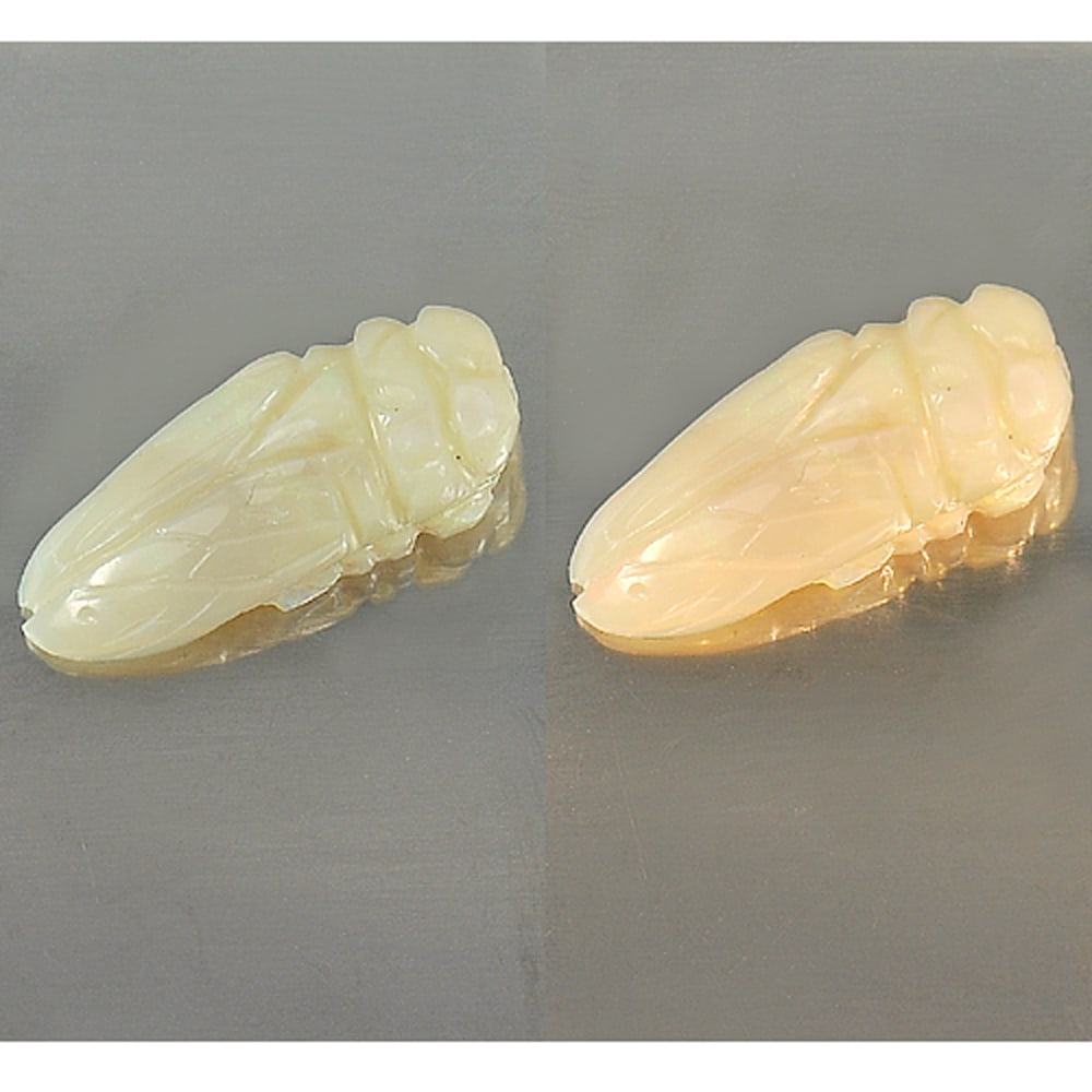 Natural Multi Color Play Of Colour Opal Gemstones 5.17 Ct. Bug Carving 9.3 x 8.1 Mm.: Product ID: 818722524 Product Name: Natural Opal Carving Weight: 5.17 CT. Size: 9.3 x 8.1 x 7.3 MM. Shape: Bug Carving Color: Multi Color Clarity:Opaque Luster: Strong Iridescent Gems Origin: Australi