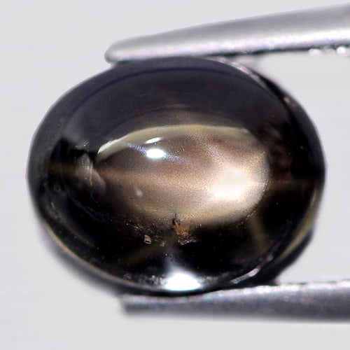 Natural Black Star Sapphire Gemstones 6 Rays 3.20 Ct. Oval Cabochon Shape 8.8 x 7 Mm. (1 of 3)