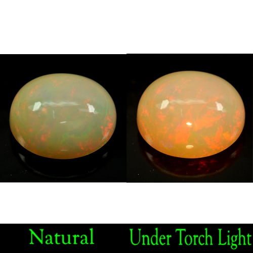 Natural Multi-Color Play Of Colour Opal Gemstones 8.72 Ct. Oval Cabochon Shape 15.7 x 13.1 Mm. (1 of 3)