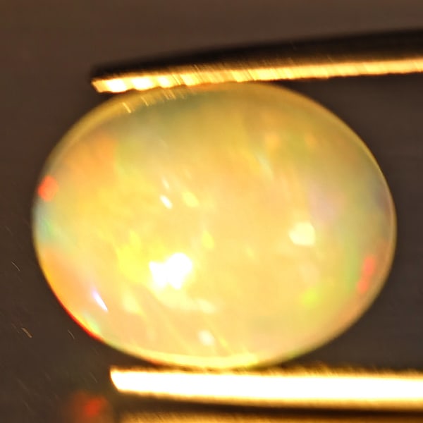 Natural Multi-Color Play Of Colour Opal Gemstone 3.55 Ct. Oval Cabochon Shape 12 x 10 Mm. (1 of 3)