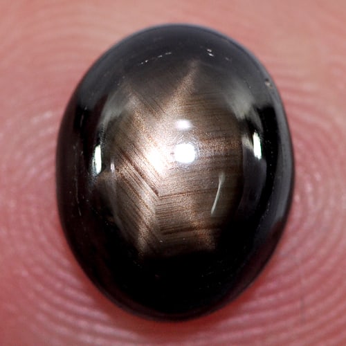Natural Black Star Sapphire Gemstones 3.16 Ct. Oval Cabochon Shape 9.7 x 7.3 Mm.