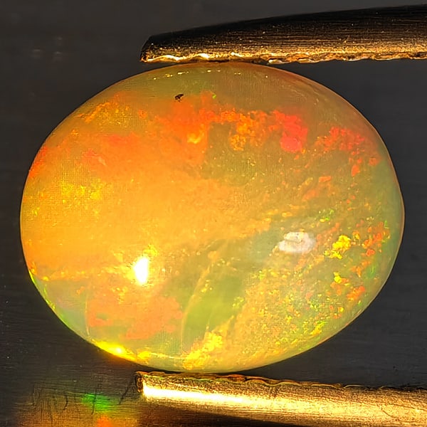 Natural Multi-Color Play Of Colour Opal Gemstone 1.53 Ct. Oval Cabochon Shape 9.5 x 8 Mm.
