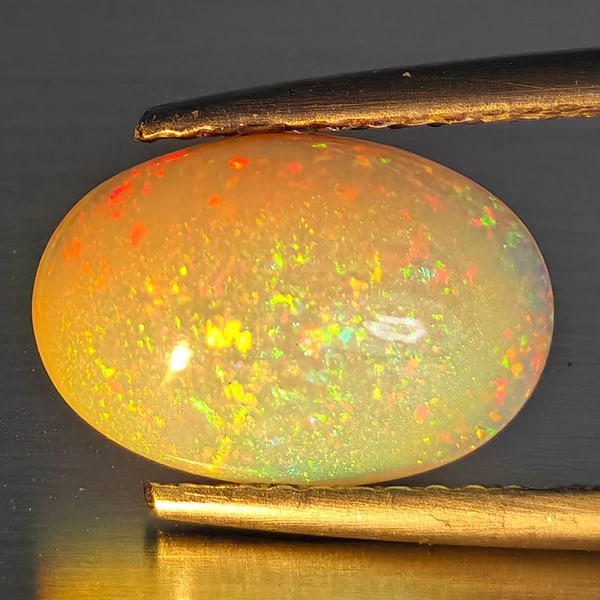 Natural Multi-Color Play Of Colour Opal Gemstone 1.57 Ct. Oval Cabochon Shape 11.6 x 8 Mm.
