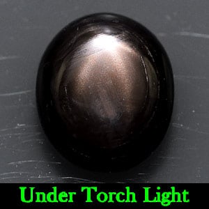 Natural Black Star Sapphire Gemstones 6 Rays 2.48 Ct Oval Cabochon Shape 8.8 x 7.1 Mm.