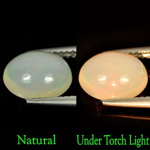 Natural Multi - Color Play Of Colour Opal Gemstones 1.81 Ct. Oval Cabochon Shape 9.9 x 7.9 Mm.