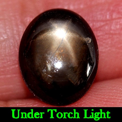 Natural Black Star Sapphire 6 Rays Gemstones 3.57 Ct. Oval Cabochon Shape 10.1 x 8.2 Mm.