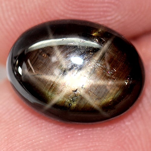 Natural Black Star Sapphire Gemstones 6 Rays 7.41 Ct. Oval Cabochon Shape 13.2 x 10 Mm.