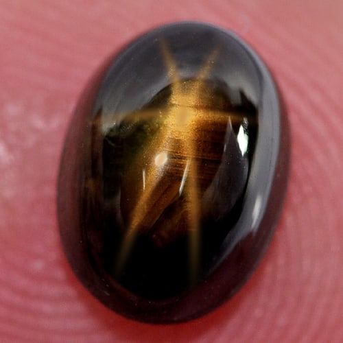 Natural Yellow Star Sapphire Gemstones 2.64 Ct. Oval Cabochon Shape 5.94 x 8.10 Mm.