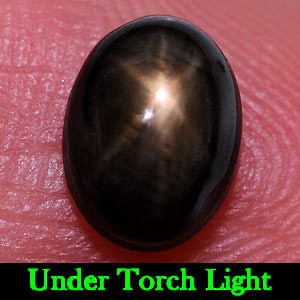 Natural Black Star Sapphire Gemstones 2.27 Ct. Oval Cabochon Shape 8 x 6 Mm. (1 of 3)