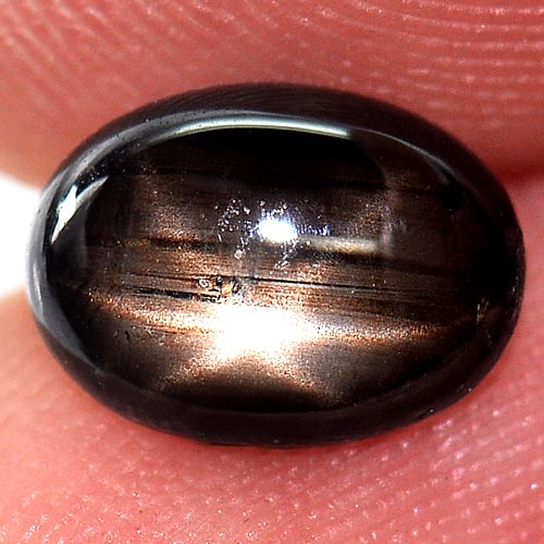 Natural Black Star Sapphire Gemstones 6 Rays 1.95 Ct. Oval Cabochon Shape 8.6 x 6.2 Mm.: Product ID: 806141585 Product Name: Natural Star Sapphire Weight: 1.95 CT. Size: 8.6 x 6.2 x 3.2 MM. Shape: Oval Cabochon Color: Black Clarity:Opaque Luster: Good 6 Rays Star Gems Origin: Thailand Tre
