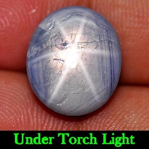 Natural Blue Star Sapphire Gemstones 11.73 Ct. Oval Cabochon Shape 13.3 x 11.4 Mm. (1 of 3)