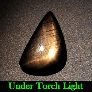 Natural Black Star Sapphire Gemstones 1.89 Ct. Fancy Cabochon Shape 11.3 x 7 Mm.: Product ID: 806132848 Product Name: Natural Star Sapphire Weight: 1.89 CT. Size: 11.3 x 7 x 2.5 MM. Shape: Fancy Cabochon Color: Black Clarity:Opaque Luster: Good 6 Rays Star Gems Origin: Thailand Tre