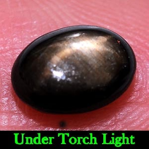 Natural Black Star Sapphire Gemstones 1.91 Ct. Oval Cabochon Shape 8 x 5.7 Mm.: Product ID: 806134703 Product Name: Natural Star Sapphire Weight: 1.91 CT. Size: 8 x 5.7 x 3.8 MM. Shape: Oval Cabochon Color: Black Clarity:Opaque Luster: Good 6 Rays Star Gems Origin: Thailand Treat