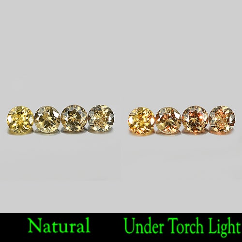 Natural Color Change Champagne Change To Orange Garnet Gemstones 1.70 Ct. 4 Pcs Round Shape 4.5 Mm: Product ID: 802926977 Product Name: Natural Color Change Garnet Weight: 1.70 CT. Size: 4.5 x 4.5 x 2.5 MM. Shape: Round Color: Champagne Clarity:VSI Luster: Good Gems Origin: Nigeria Treatment: Unheat