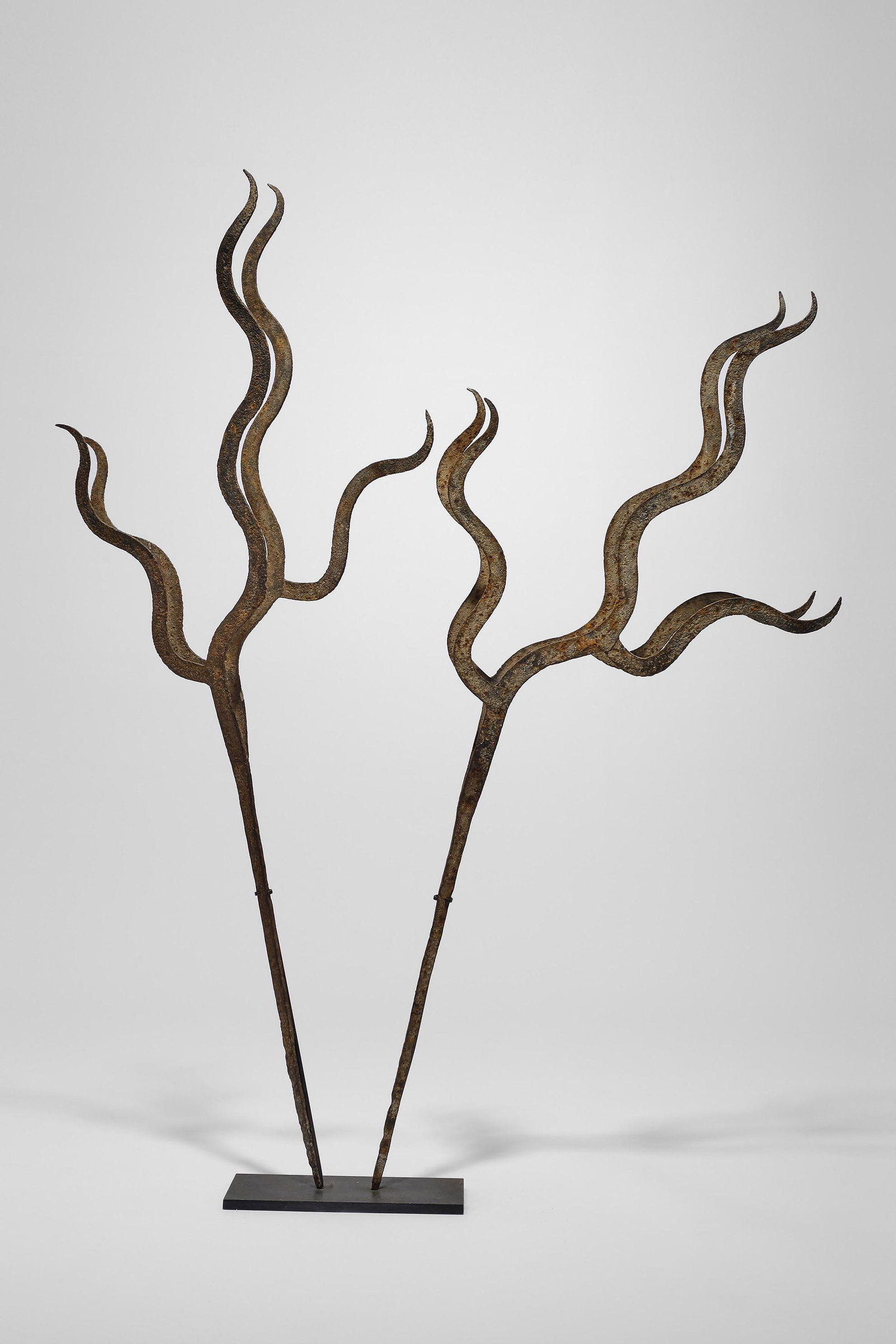 Pair of Deer Antlers (1 of 3)