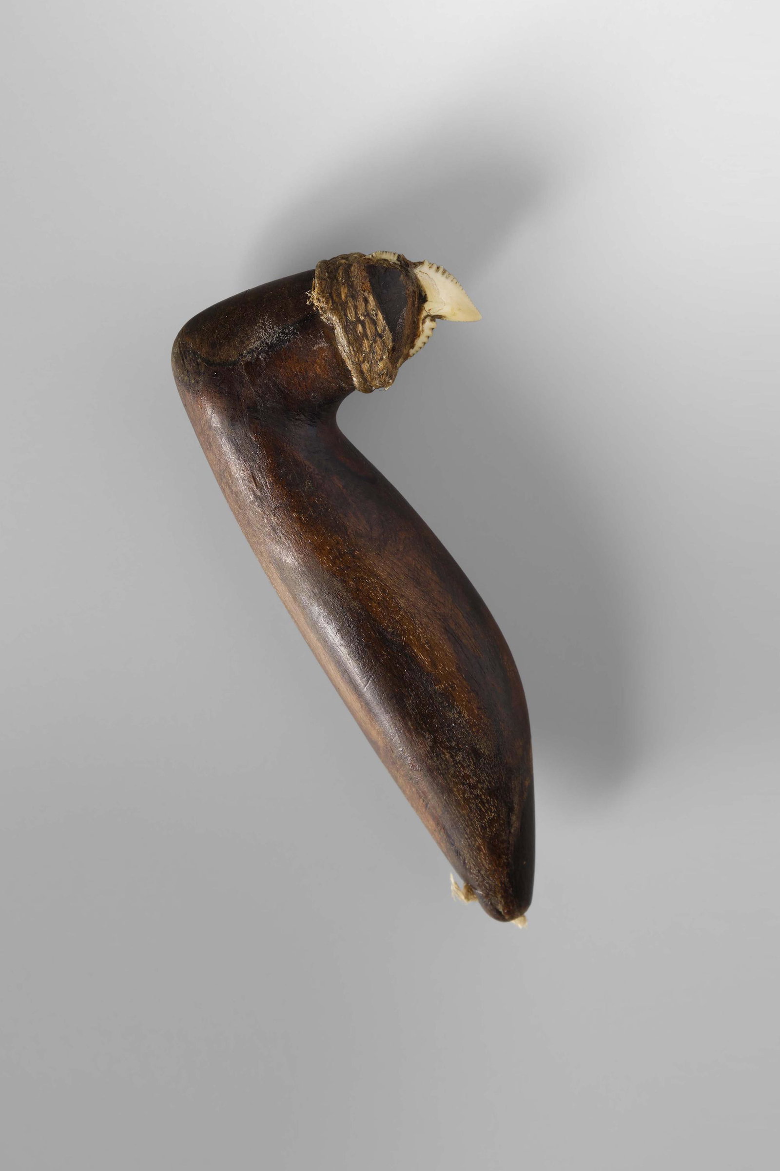 Tebutu - Women's Weapon: Kiribati (formerly Gilbert Islands), Micronesia Shark's tooth, wood, vegetal fibers 11,5 cm Provenance: Bonhams sale, Fine African, Oceanic and Pre-Columbian Art, 13 May 2010, lot 2033 Property from a