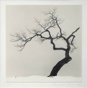 Michael Kenna (British, 1953): Kussharo Lake Tree, Study 1, Kotan, Hokkaido, Japan - 2002 Silverprint, 19,4 x 20 cm Signed and dated lower right on the mount Edition number lower left on the mount: 10/45 Provenance: Box Galerie, Br