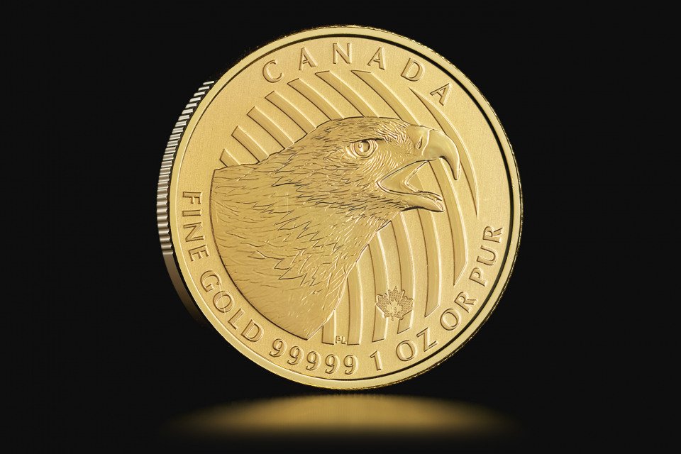 Canada 1 oz Golden Eagle (1 of 4)
