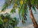1978 Emrich Nicholson Puako Bay Hawaii Oil Painting - 4