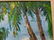 1978 Emrich Nicholson Puako Bay Hawaii Oil Painting - 5