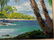 1978 Emrich Nicholson Puako Bay Hawaii Oil Painting - 7
