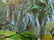 1978 Emrich Nicholson Puako Bay Hawaii Oil Painting - 9