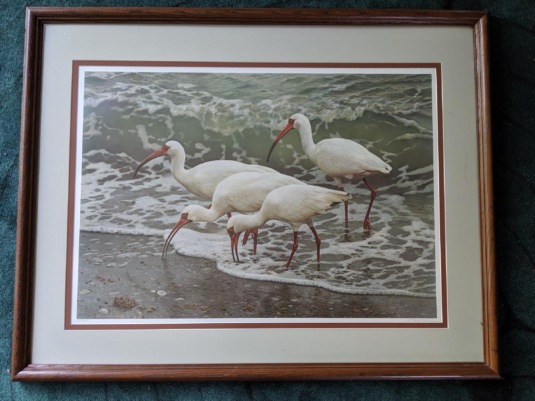 1990 Carl Brenders Shoreline Quartet White Ibis LTD (1 of 11)