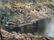 c1940 SIGNED Oil on Canvas Painting River Scene - 12