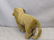Antique Steiff Straw Stuffed Lion Animal - 4